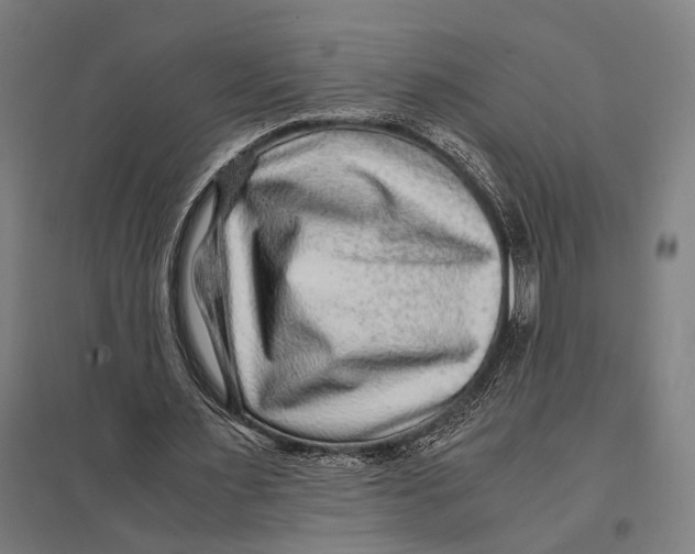 X0000097760483200803281637