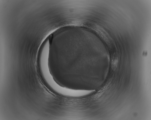 X0000097760484200803281637