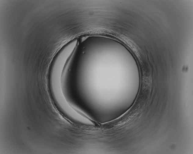 X0000097760485200803281637