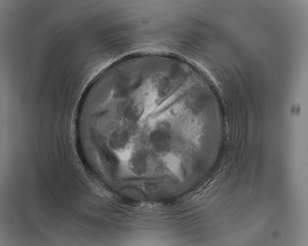 X0000097760487200803281637