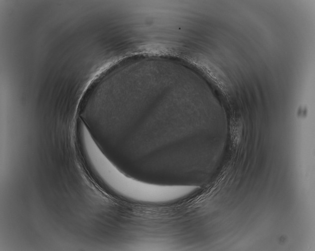 X0000097760488200803281637