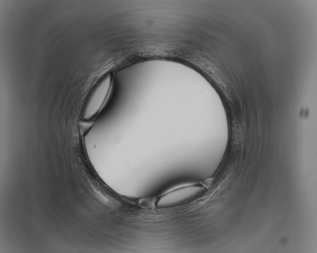 X0000097760489200803281637