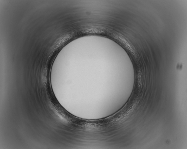 X0000097760490200803281637