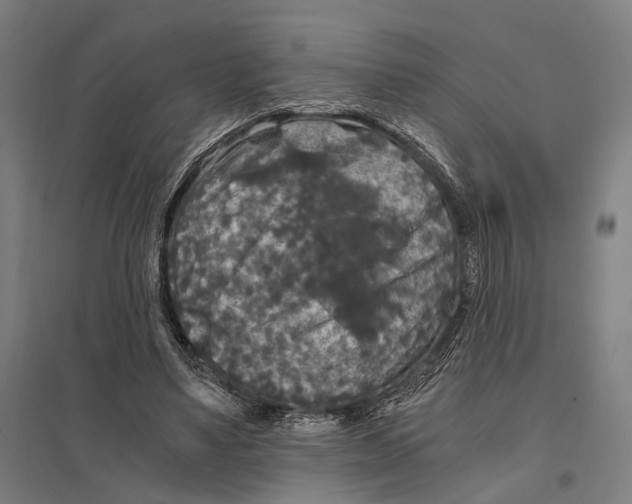 X0000097760491200803281637