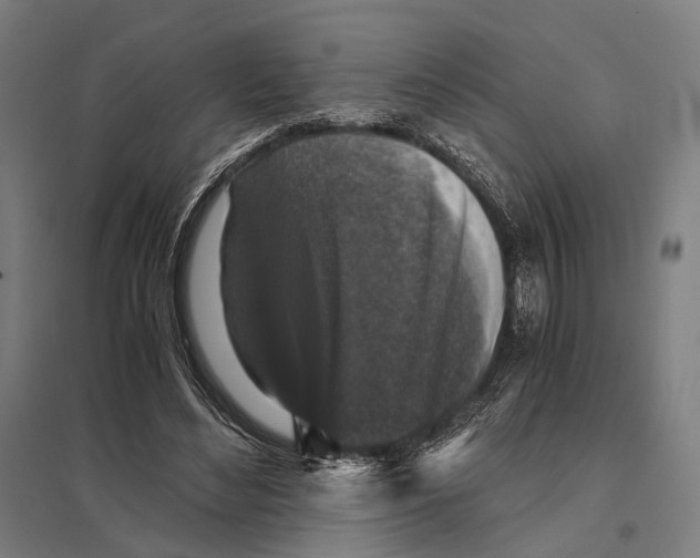 X0000097760492200803281637