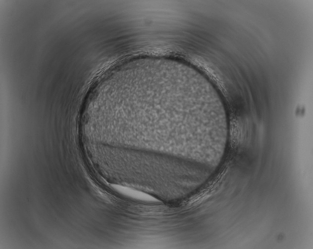 X0000097760493200803281637