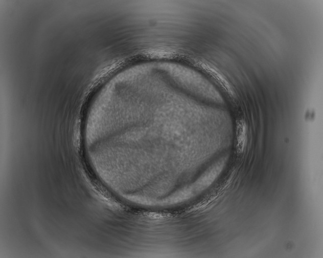 X0000097760494200803281637