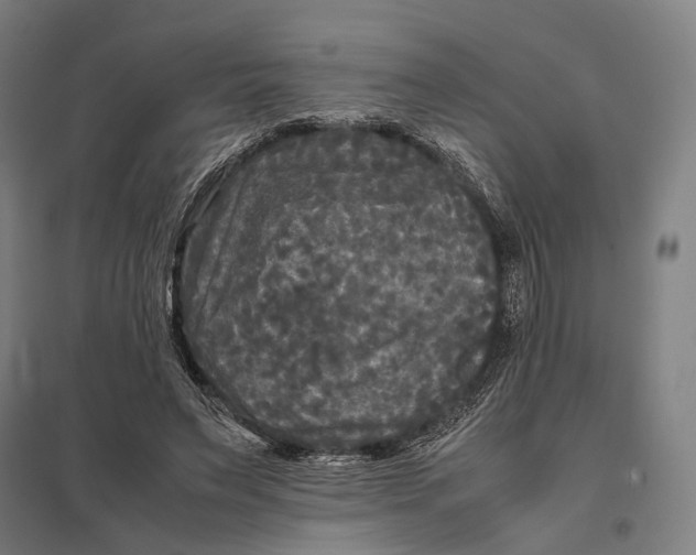 X0000097760495200803281637