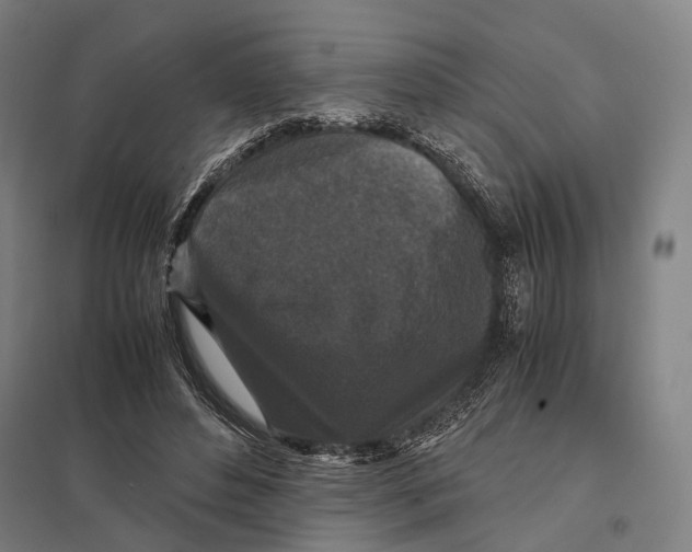 X0000097760496200803281637