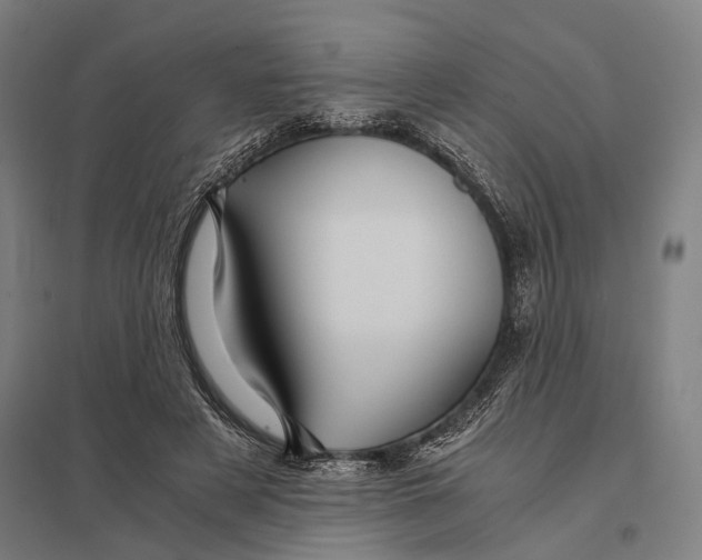 X0000097760497200803281637