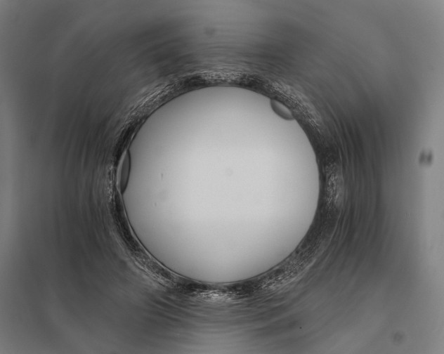 X0000097760498200803281637