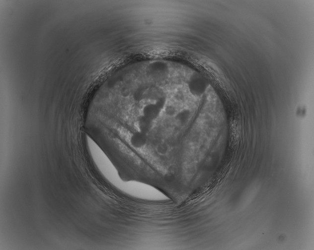 X0000097760499200803281637