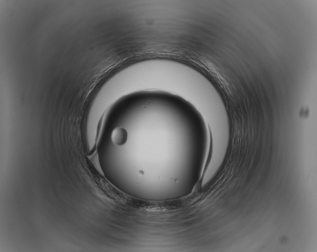 X0000097760500200803281637