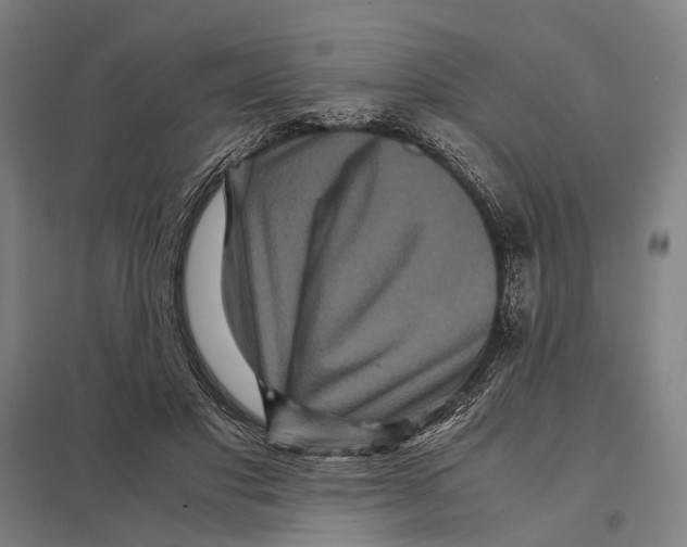 X0000097760501200803281637