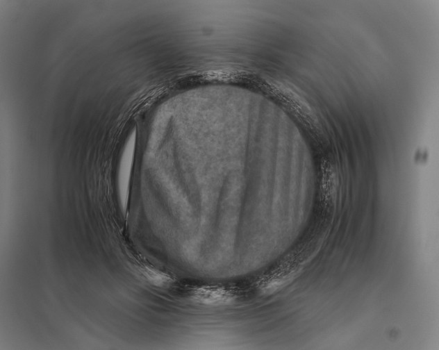 X0000097760502200803281637