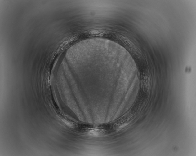 X0000097760504200803281637