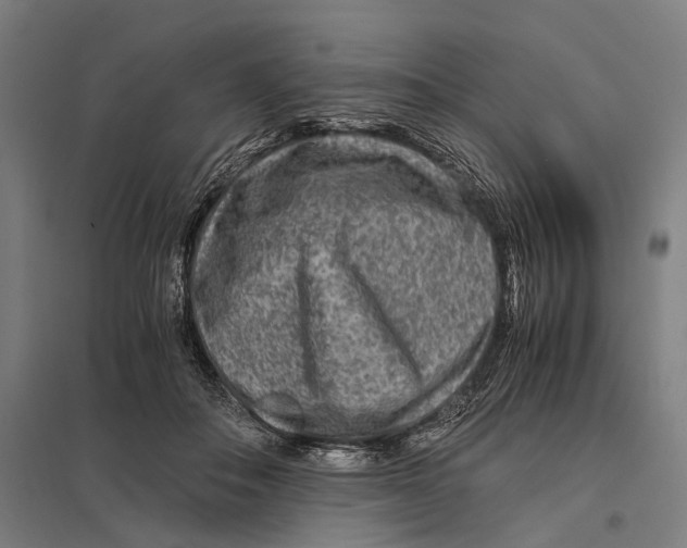 X0000097760506200803281637