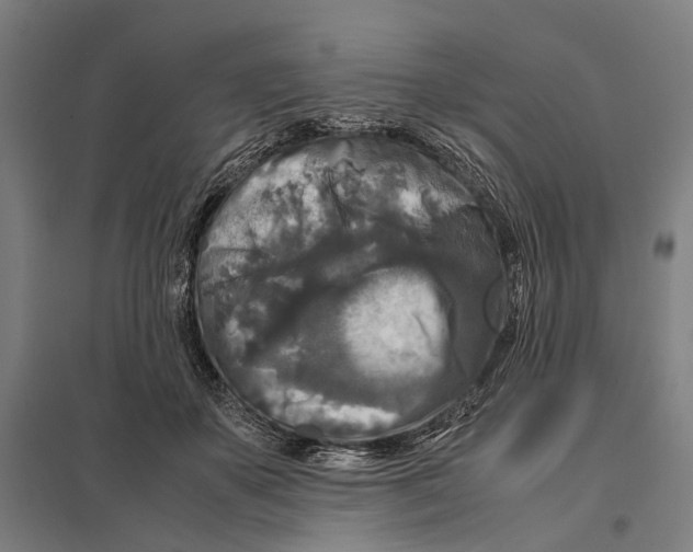 X0000097760507200803281637