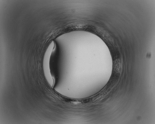 X0000097760509200803281637