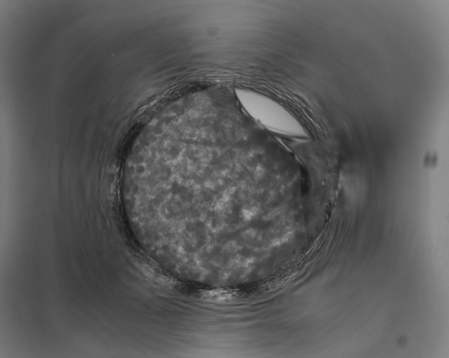 X0000097760511200803281637