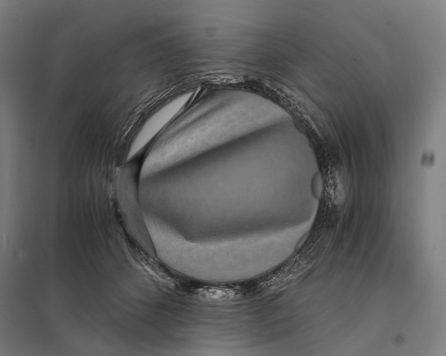 X0000097760512200803281637