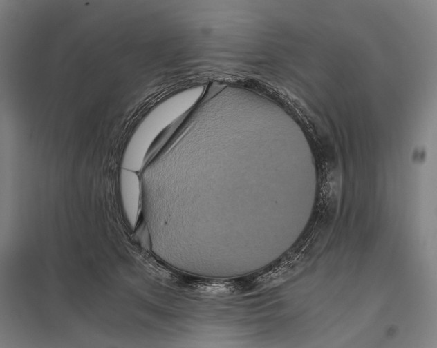 X0000097760513200803281637