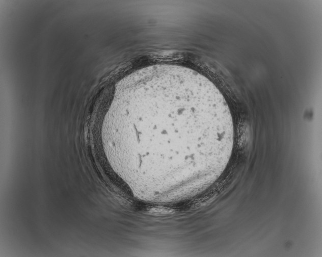 X0000097760515200803281637