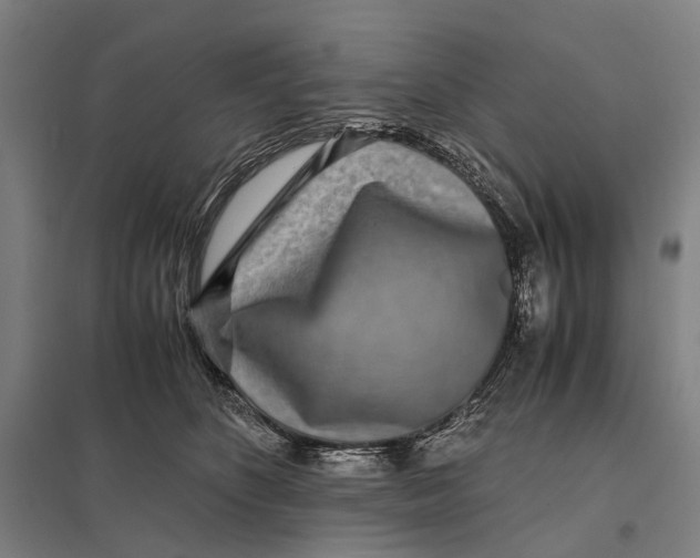 X0000097760516200803281637