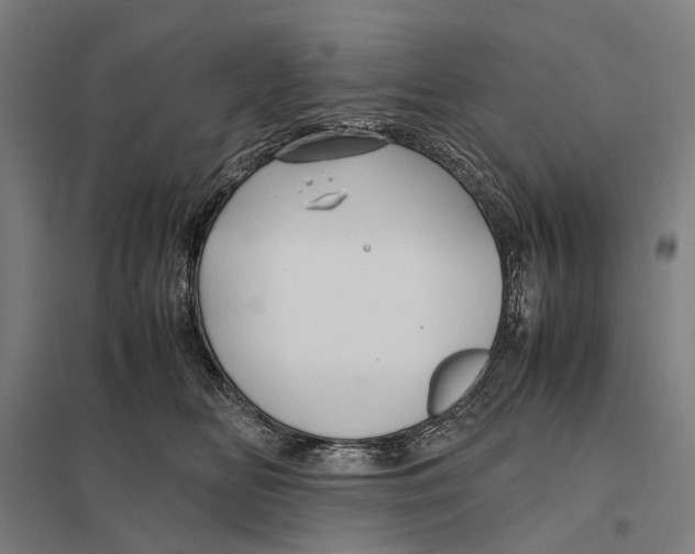 X0000097760518200803281637