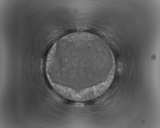 X0000097760519200803281637