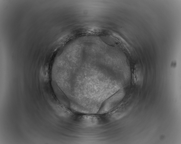 X0000097760520200803281637