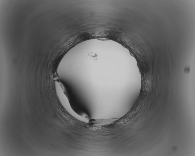 X0000097760521200803281637