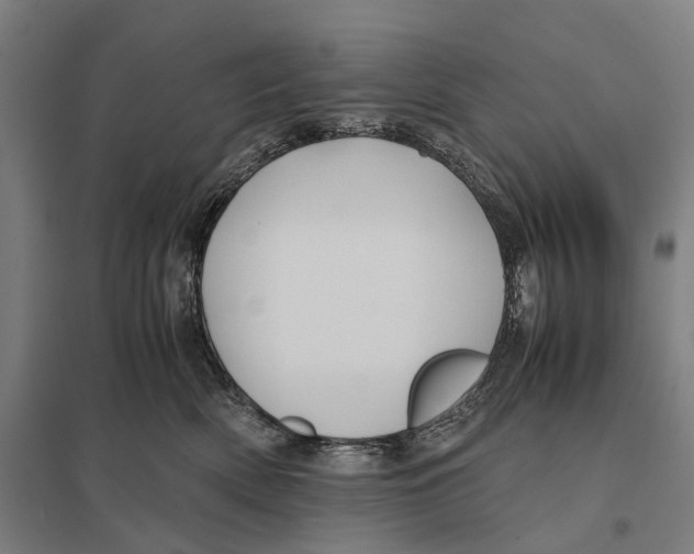 X0000097760522200803281637