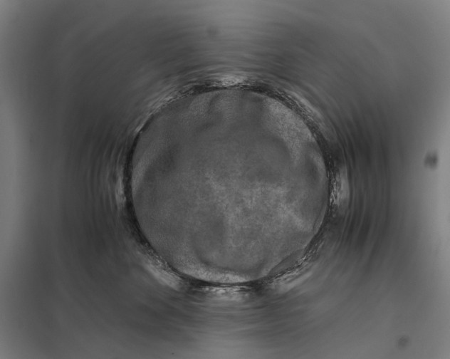 X0000097760524200803281637