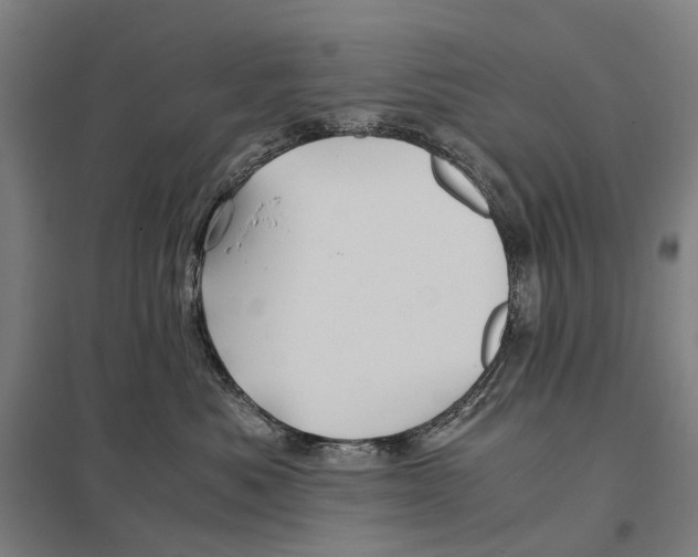 X0000097760525200803281637