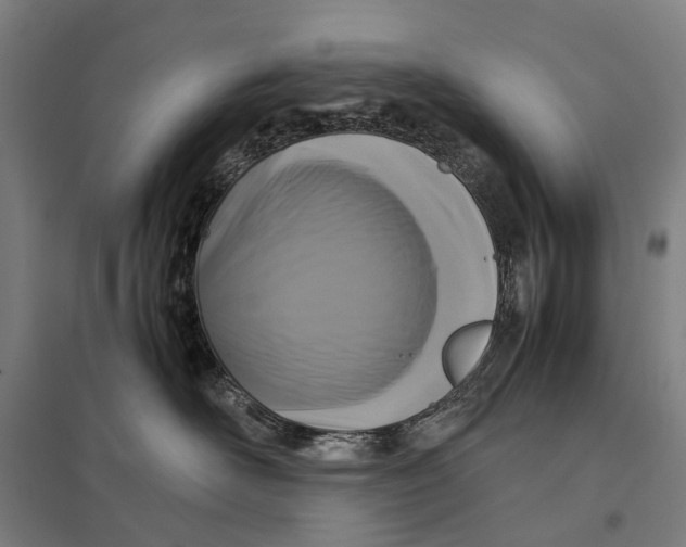 X0000097760526200803281637