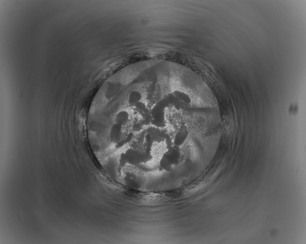 X0000097760527200803281637