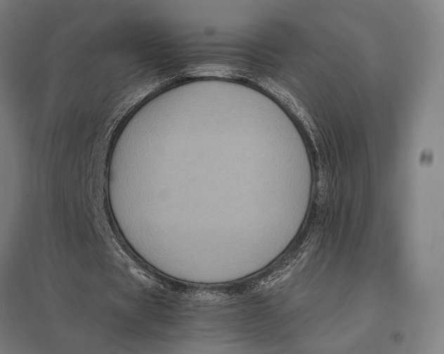 X0000097760529200803281636