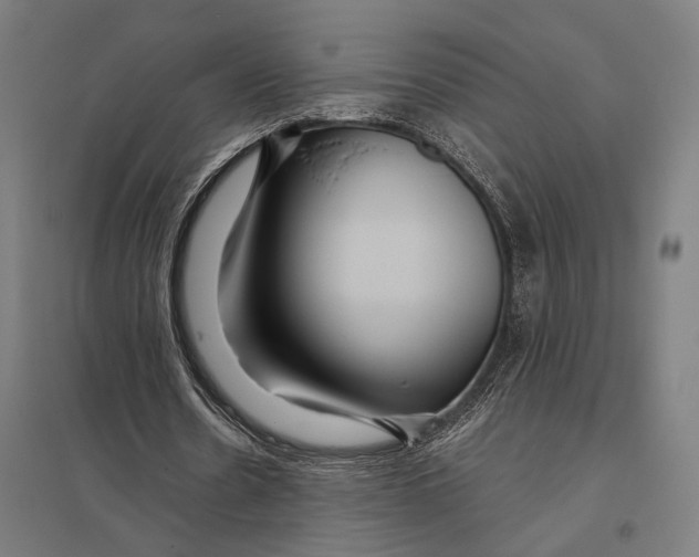 X0000097760530200803281636