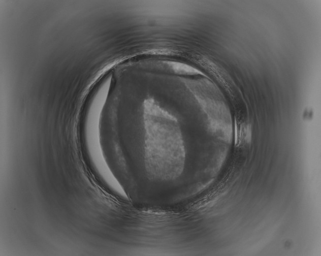 X0000097760531200803281636