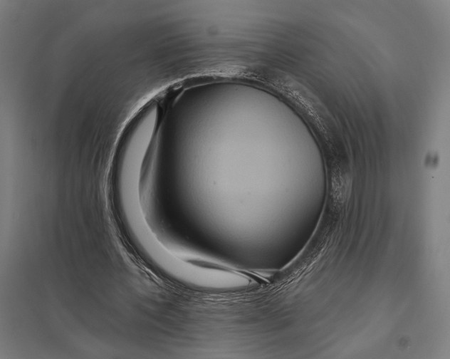 X0000097760532200803281636