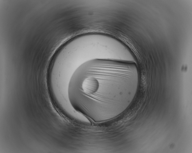 X0000097760534200803281636