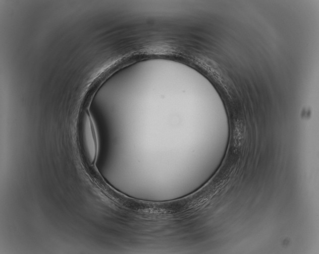 X0000097760535200803281636