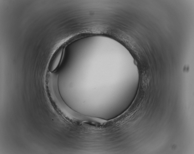 X0000097760536200803281636