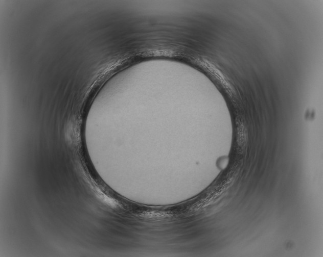 X0000097760537200803281636