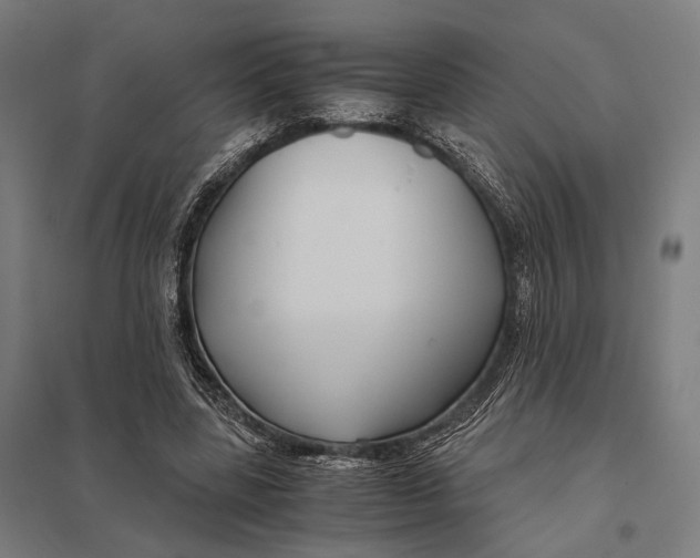 X0000097760539200803281636