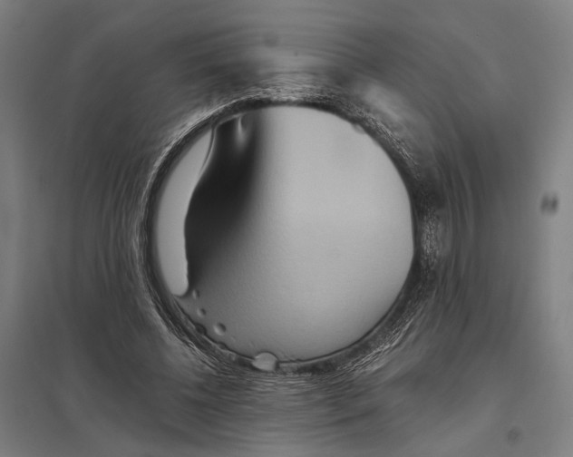 X0000097760540200803281636