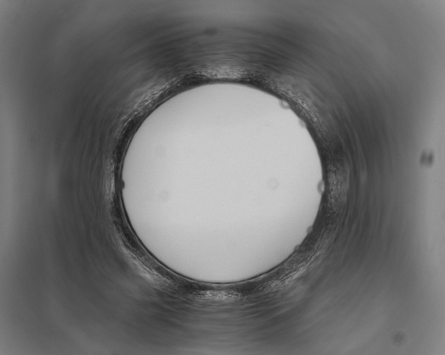 X0000097760541200803281636