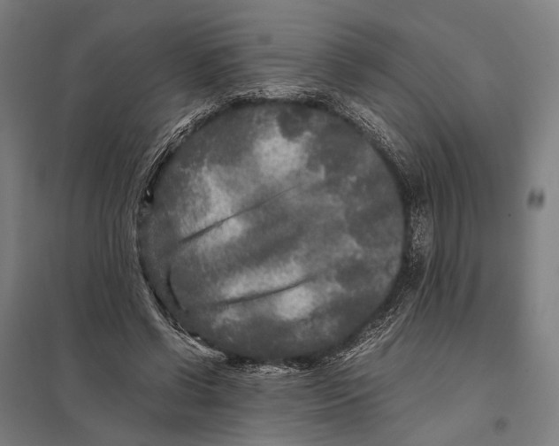 X0000097760542200803281636