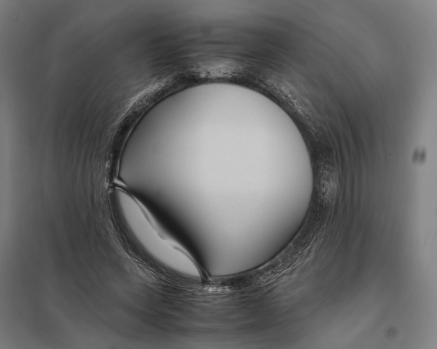 X0000097760543200803281636